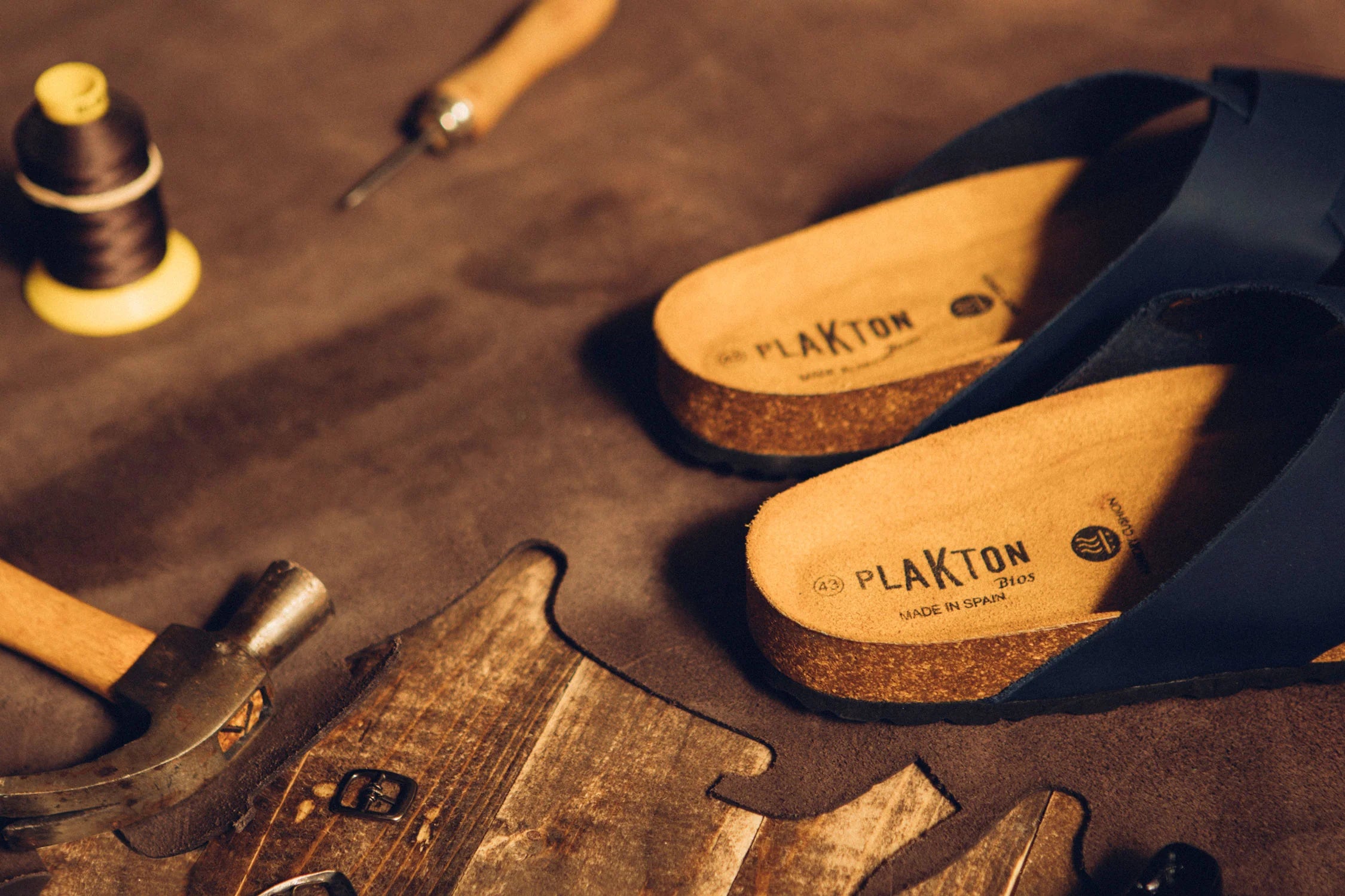 Plakton - Diseño que inspira, confort que acompaña
