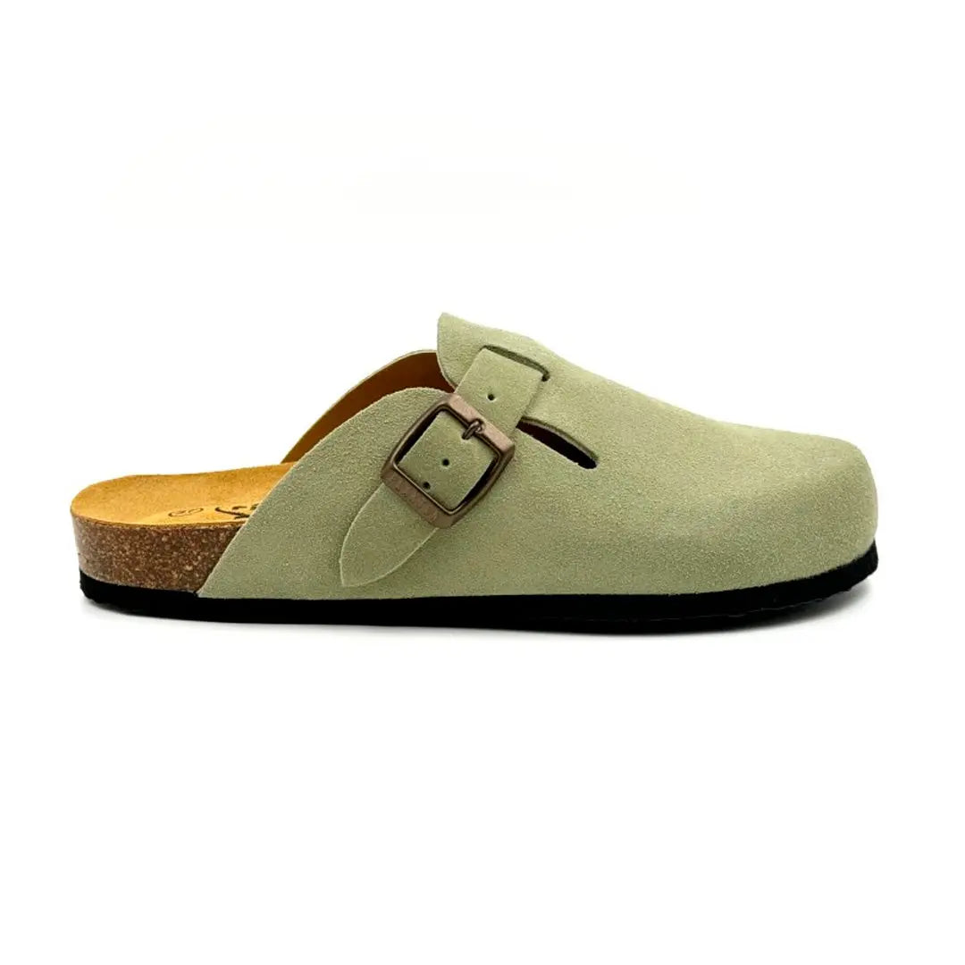 Bio Classic Lady - Blogg 181539 Plakton Latam