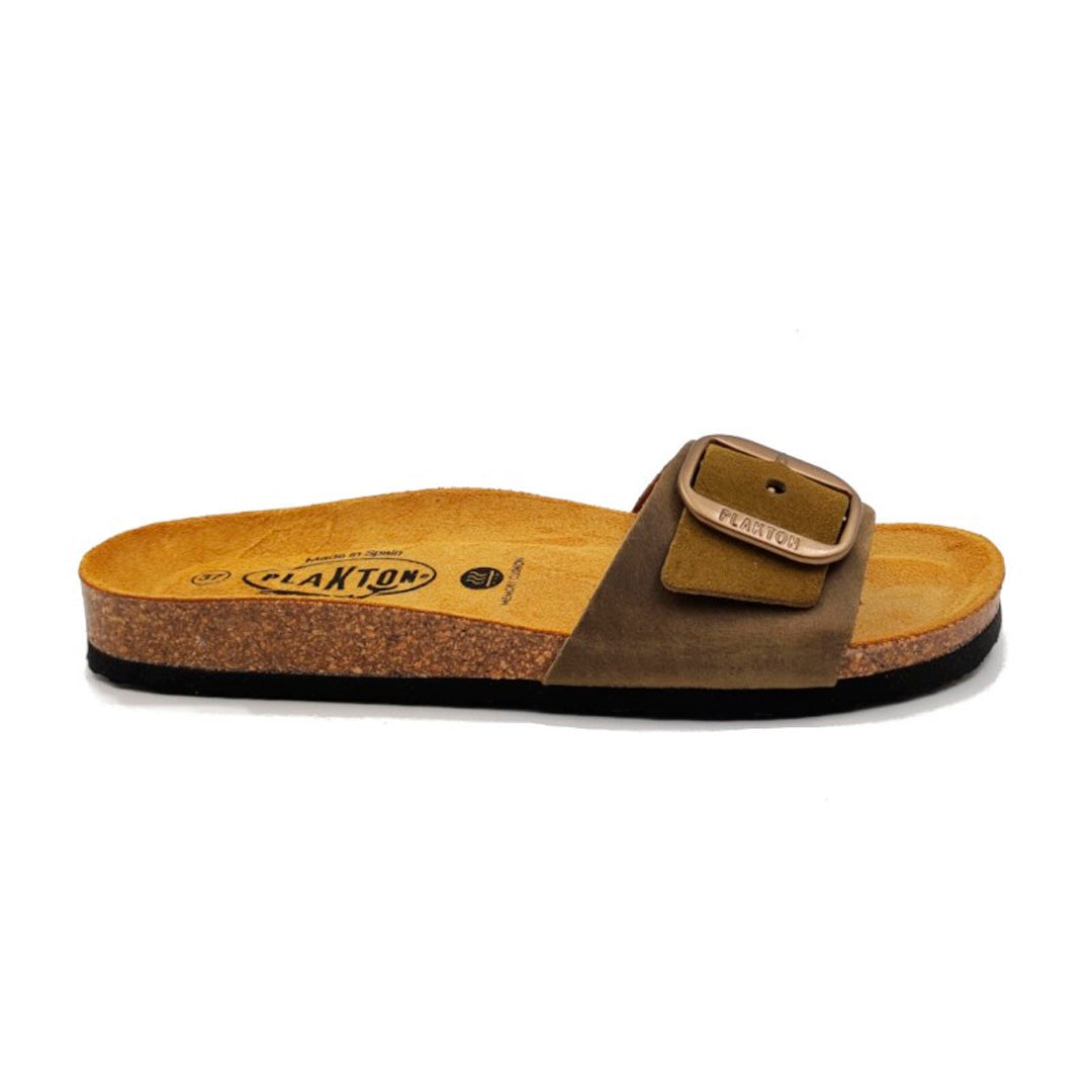 Bio Classic Lady - Bom 181018 Plakton Latam