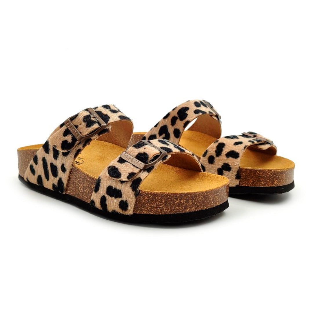 CP Becky 345646 Plakton Latam