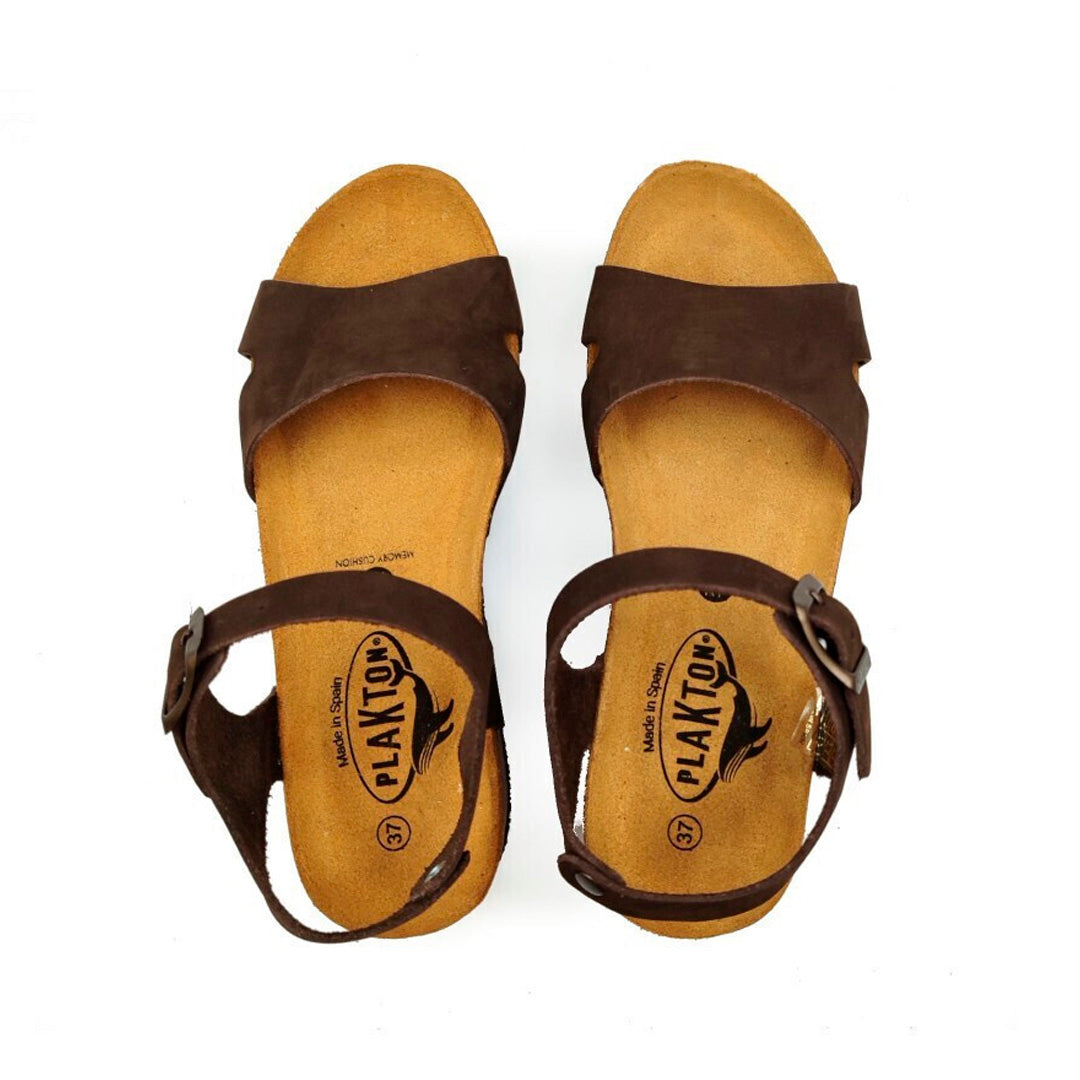 CP Blaster 345647 Plakton Latam