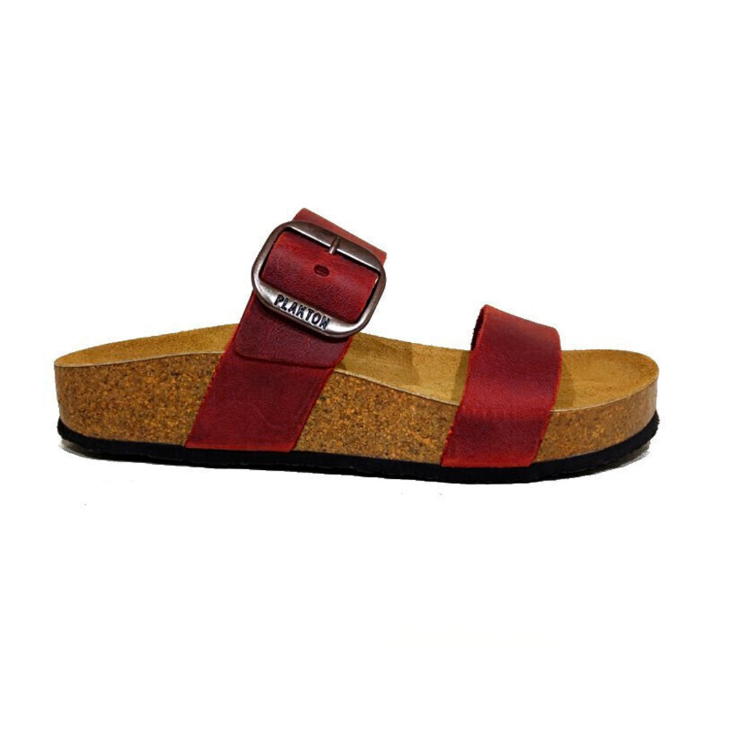 CP Rock 343004 Plakton Latam