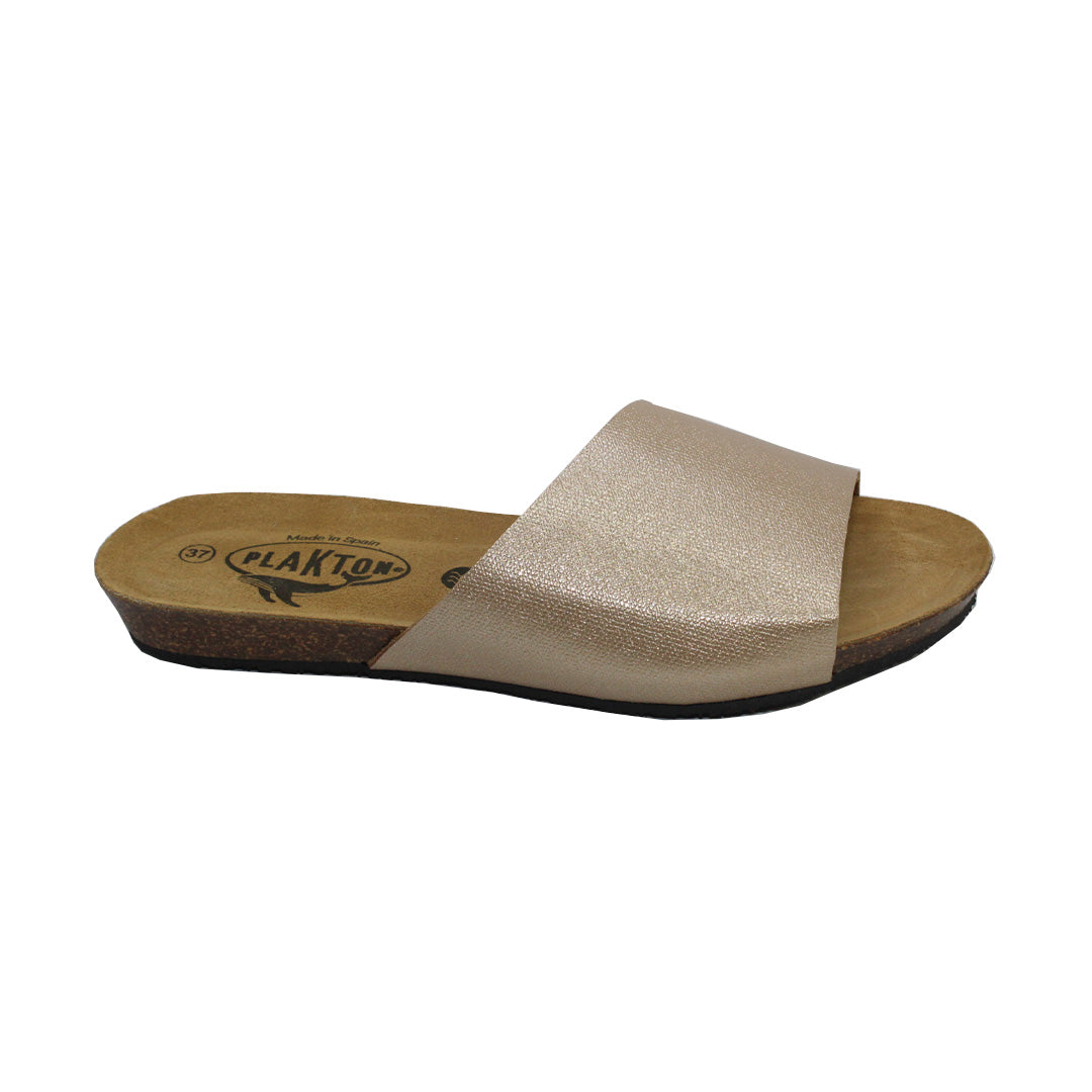 Fran Vela 405538 Plakton Latam