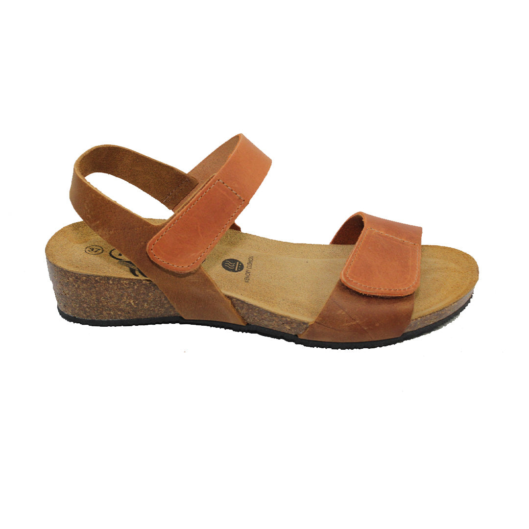 Norita 775893 Plakton Latam