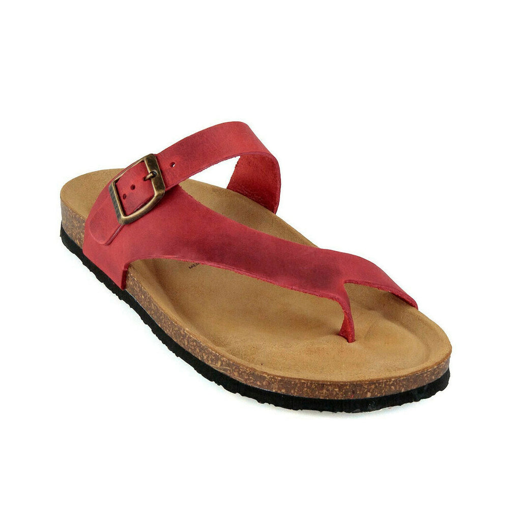 Bio Classic Lady - Battle 185446 Plakton Latam