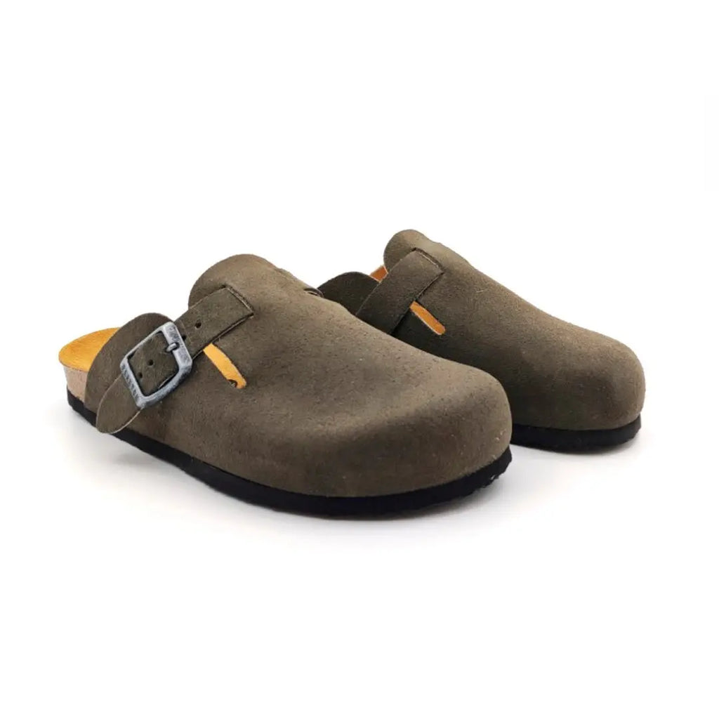 Bio Classic Lady - Blogg 181539 Plakton Latam