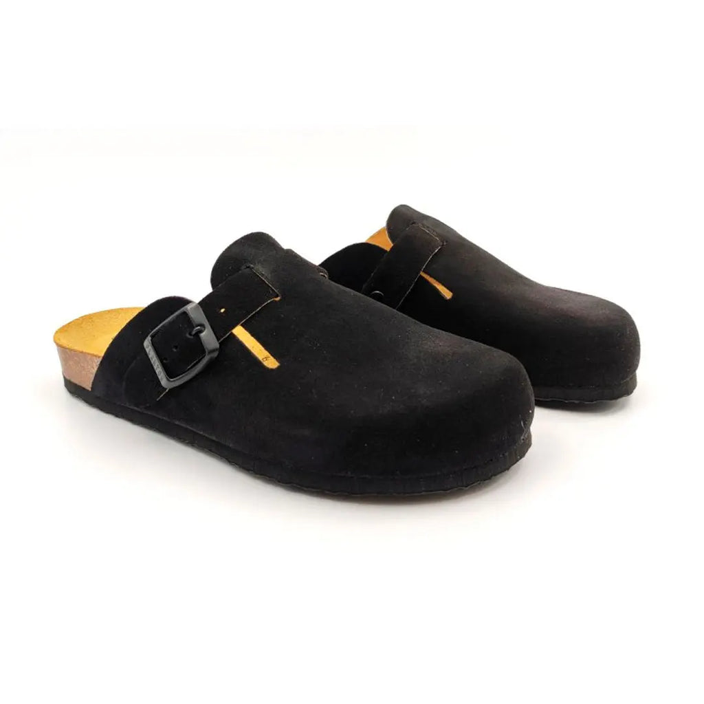 Bio Classic Lady - Blogg 181539 Plakton Latam