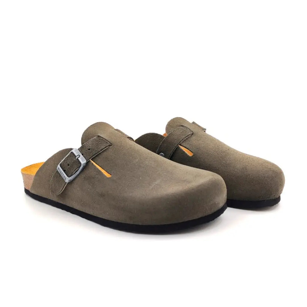 Bio Classic - Blog 171539 My Store