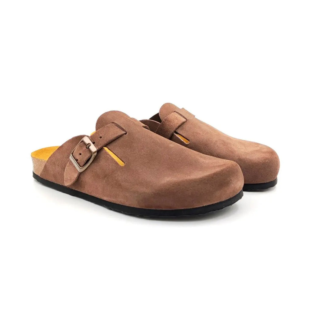 Bio Classic - Blog 171539 My Store