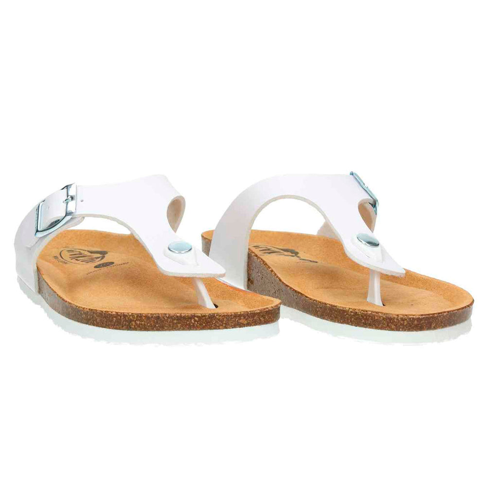 Bio Classic Lady - Bolero 181671 Plakton Latam