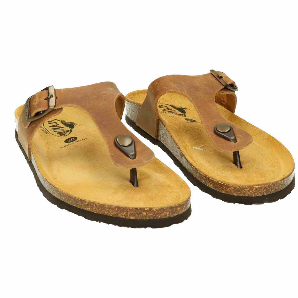 Bio Classic Lady - Bolero 181671 Plakton Latam