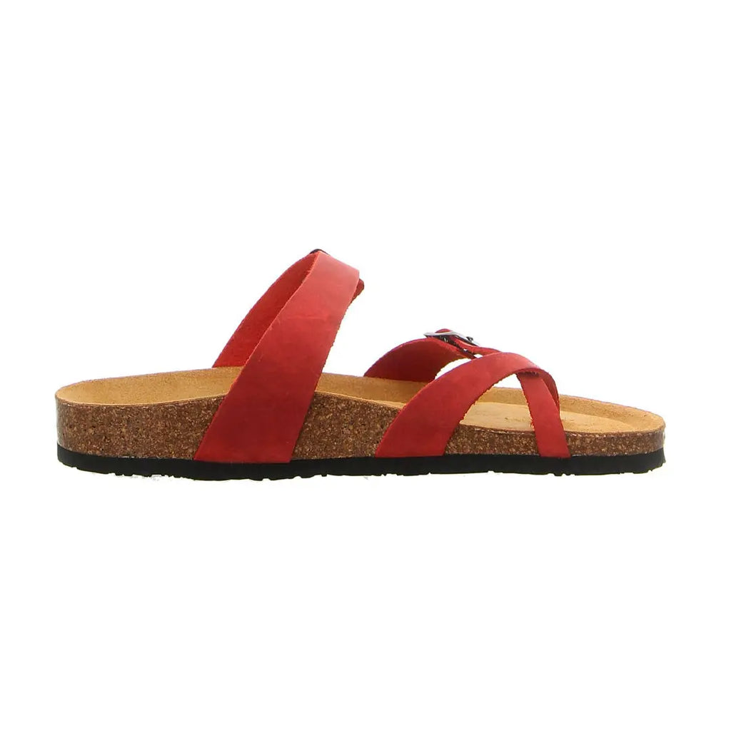 Bio Classic Lady - Bombay 181032 My Store