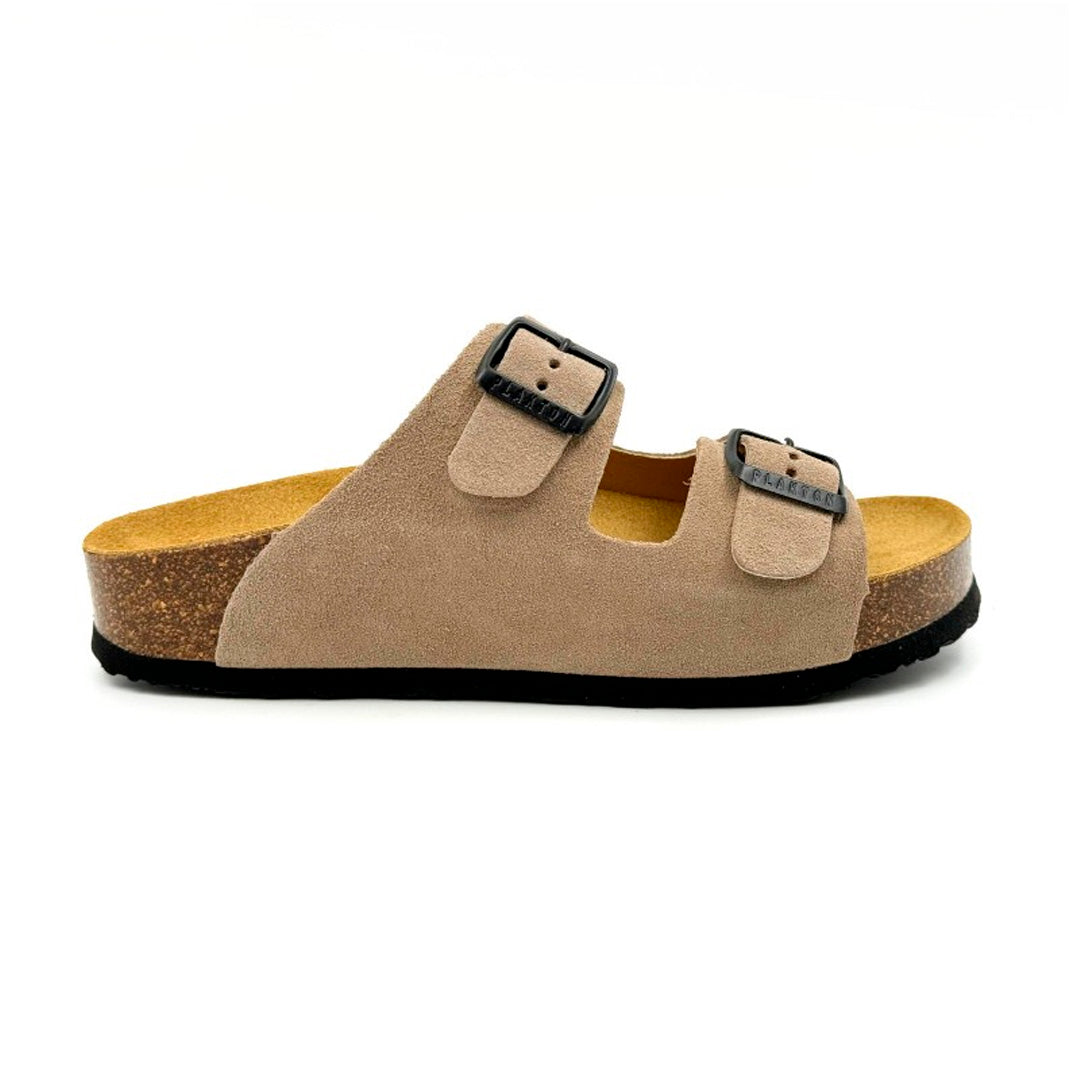 CP Beta 340010 Plakton Latam