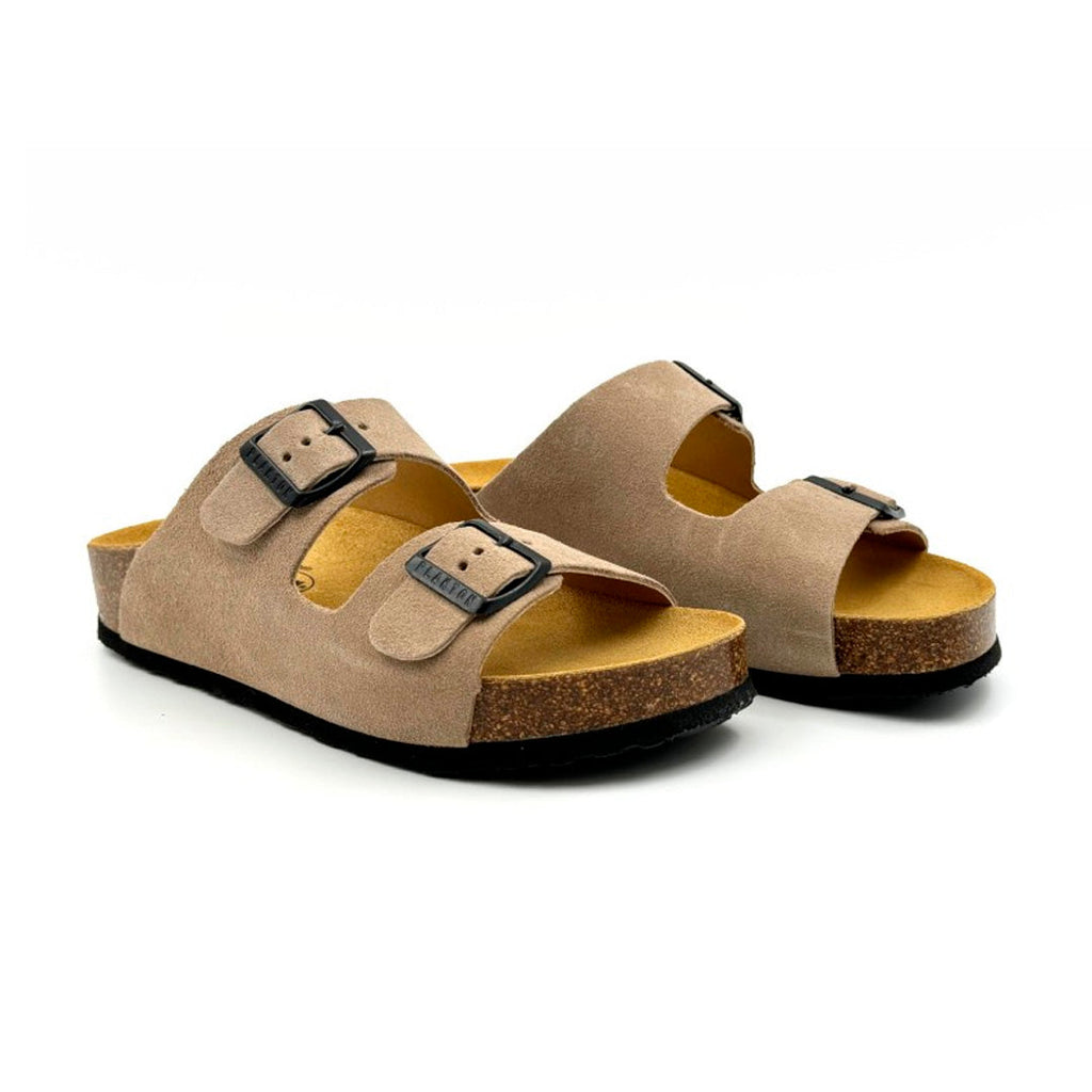 CP Beta 340010 Plakton Latam