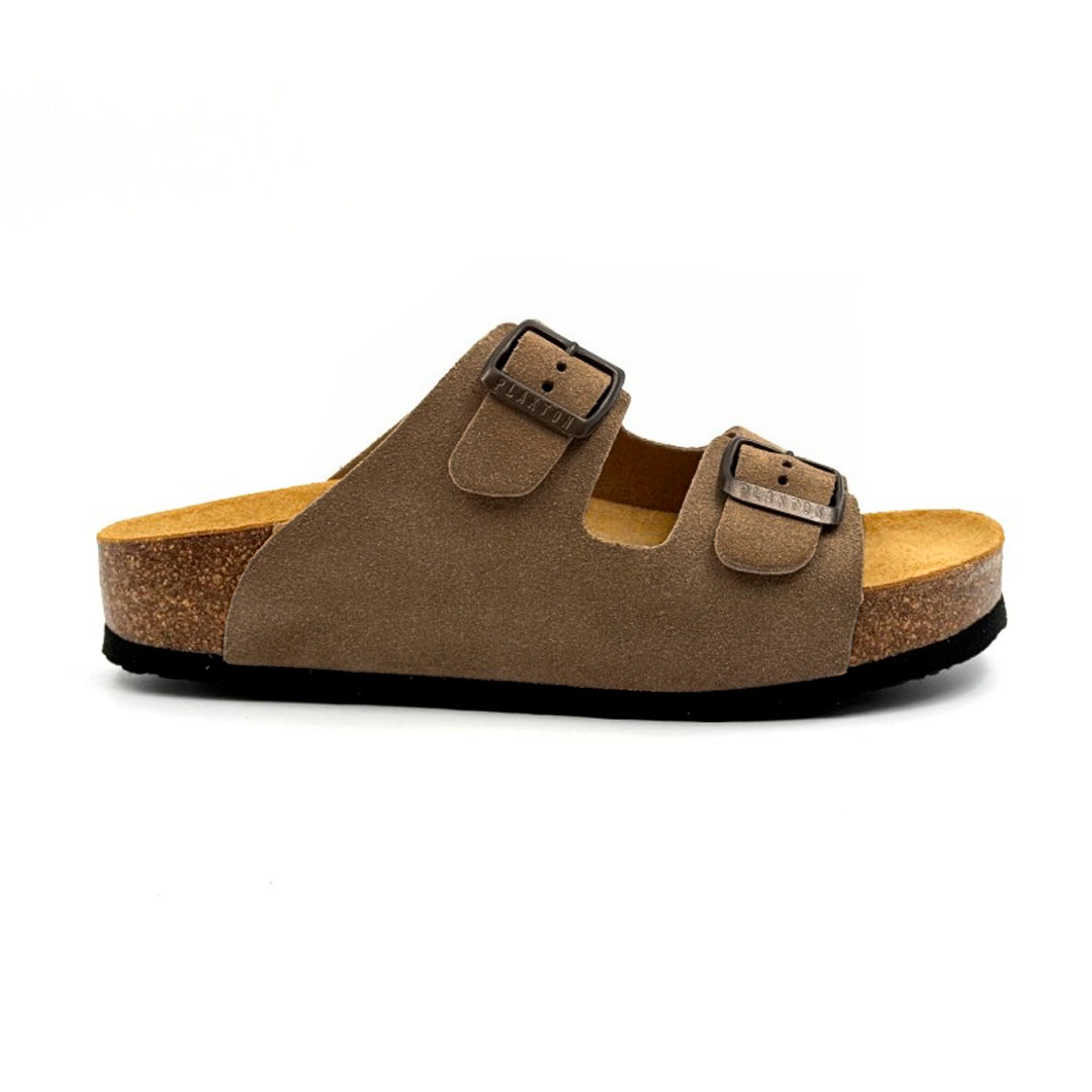 CP Beta West 340010 Plakton Latam