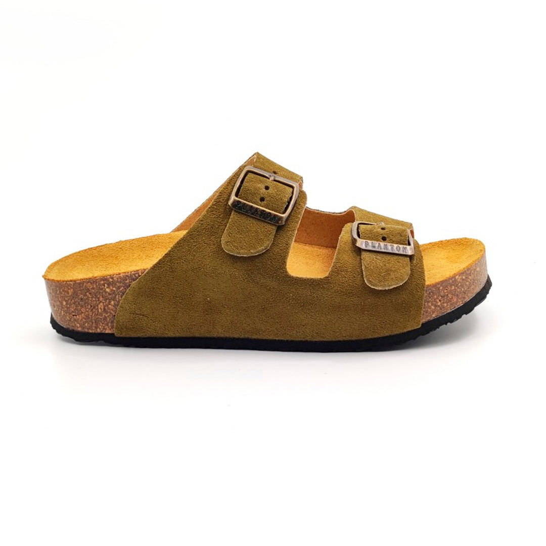 CP Beta West 340010 Plakton Latam