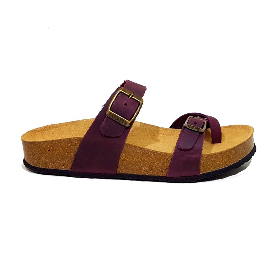 CP Bombay 341032 Plakton Latam