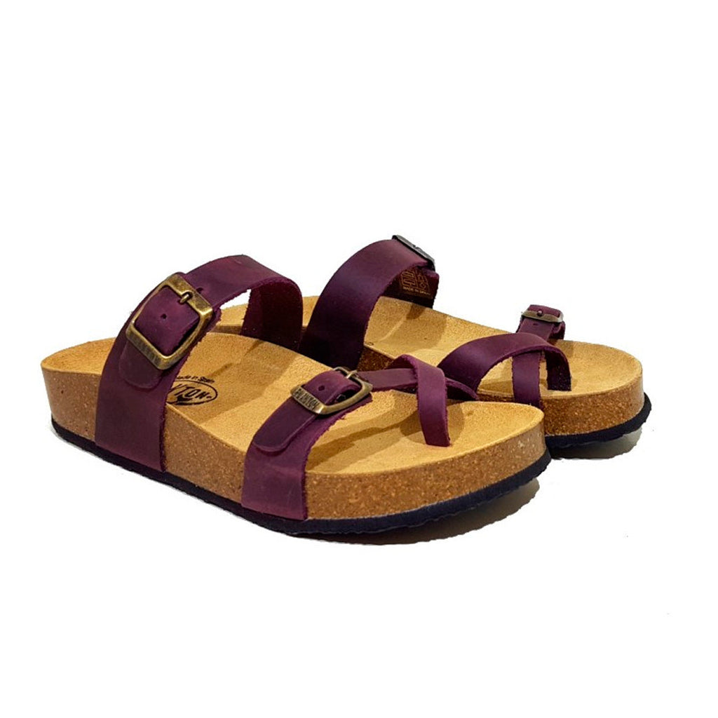 CP Bombay 341032 Plakton Latam