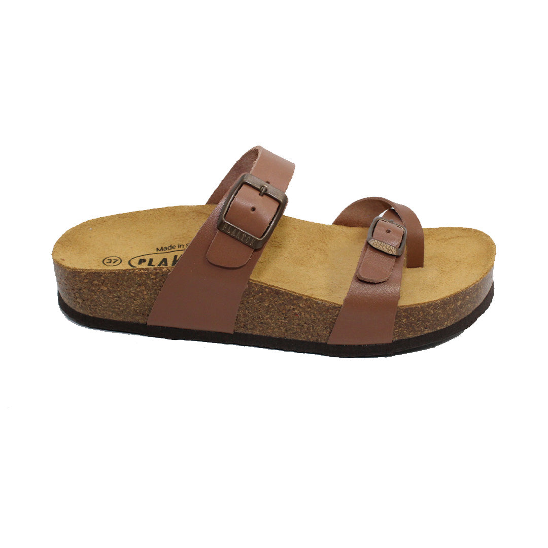 CP Bombay 341032 Plakton Latam