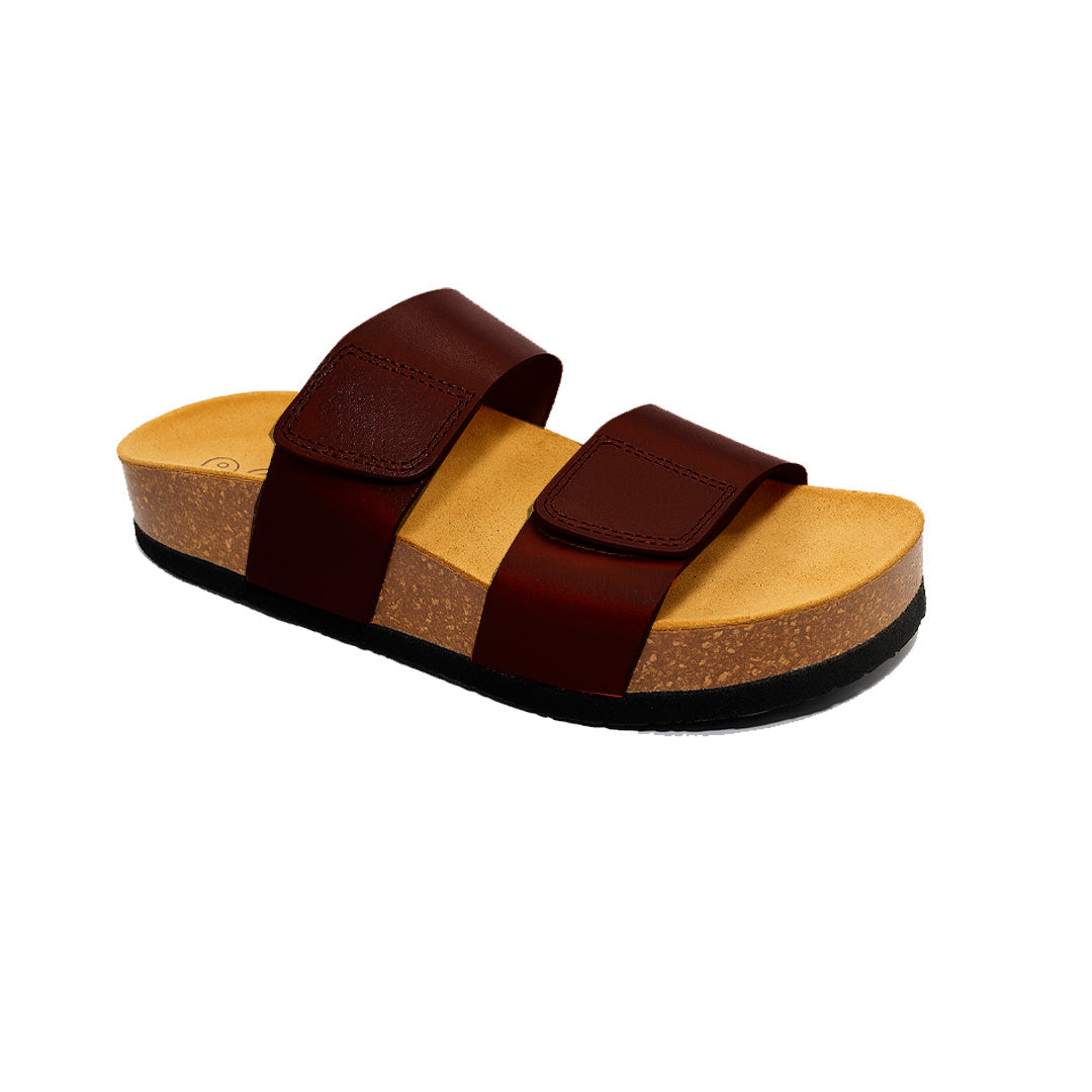 CP Cult 343001 Plakton Latam