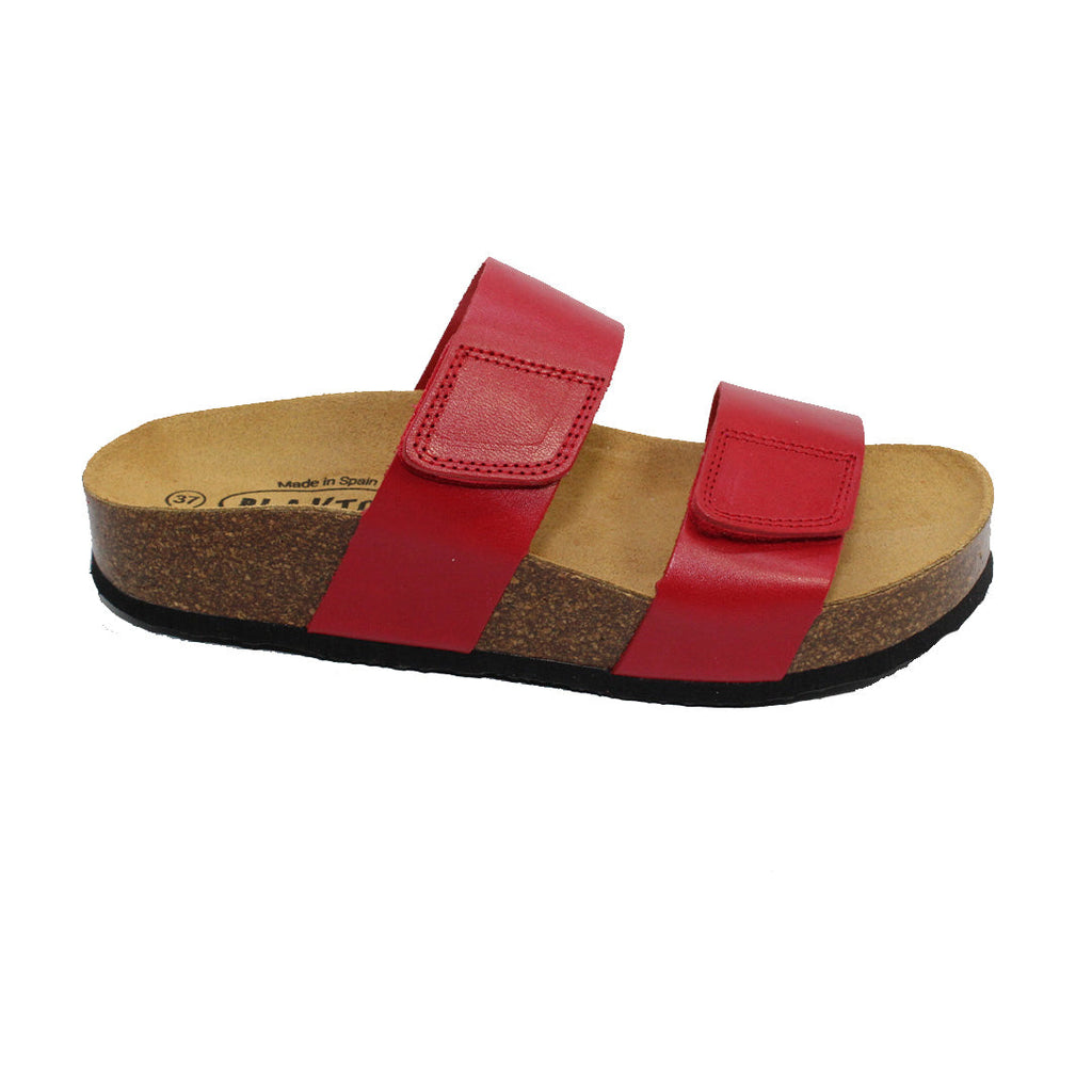 CP Cult 343001 Plakton Latam