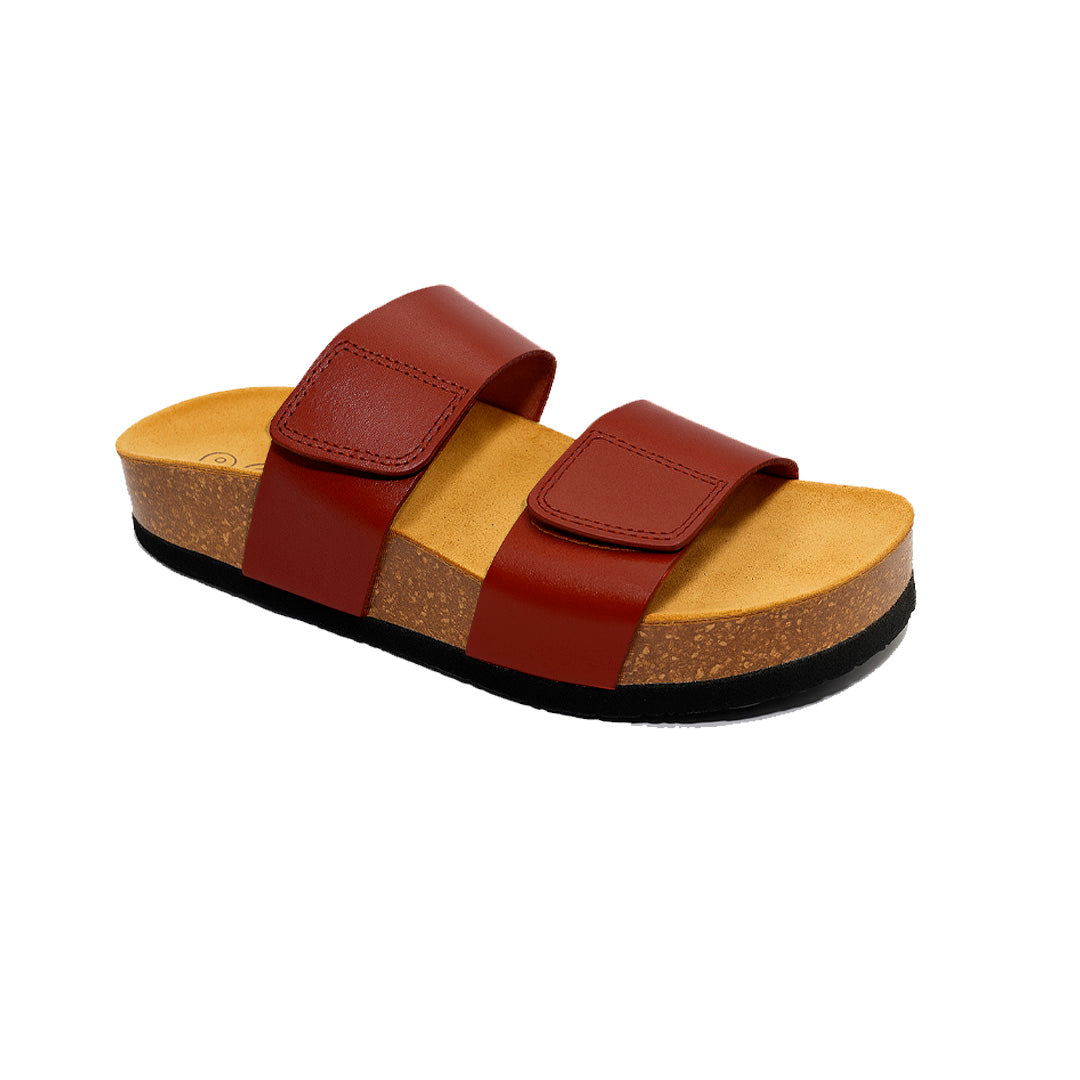 CP Cult 343001 Plakton Latam