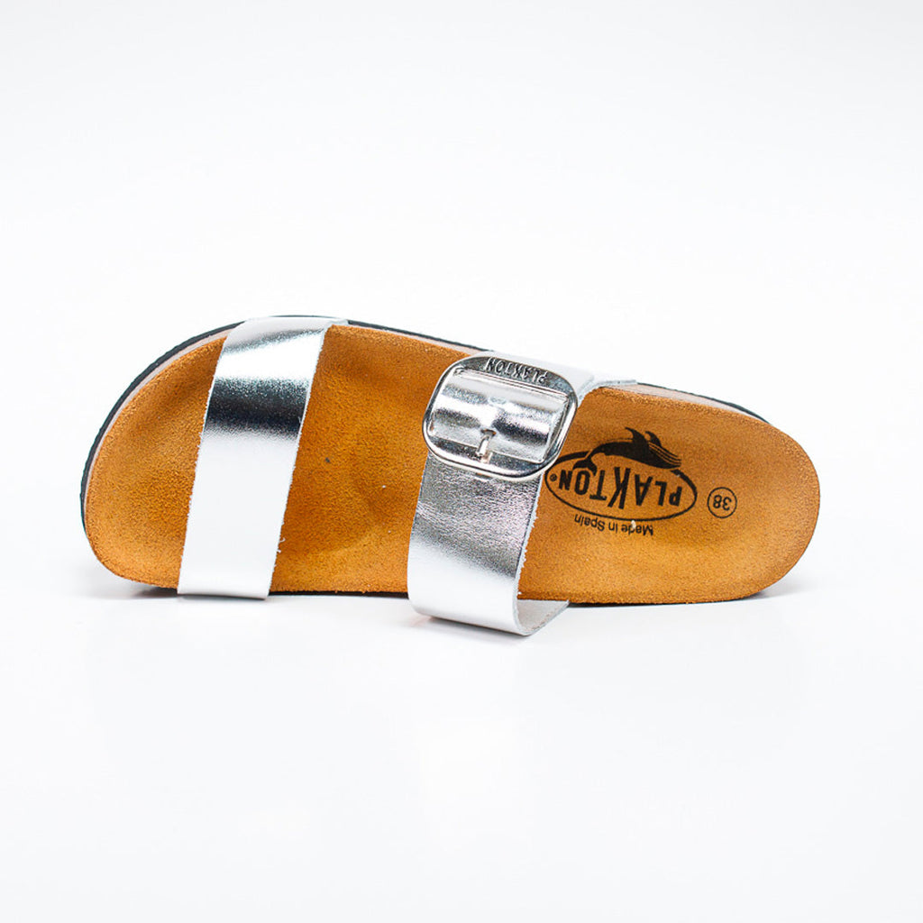 CP Rock 343004 Plakton Latam