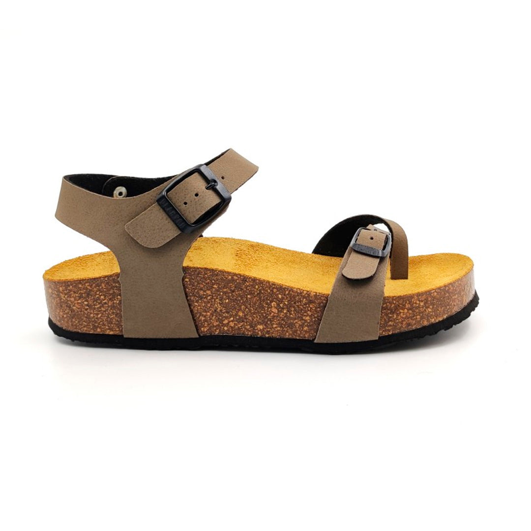 CP Zomba 341016 Plakton Latam