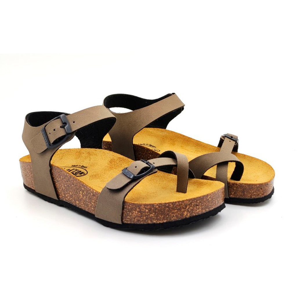 CP Zomba 341016 Plakton Latam