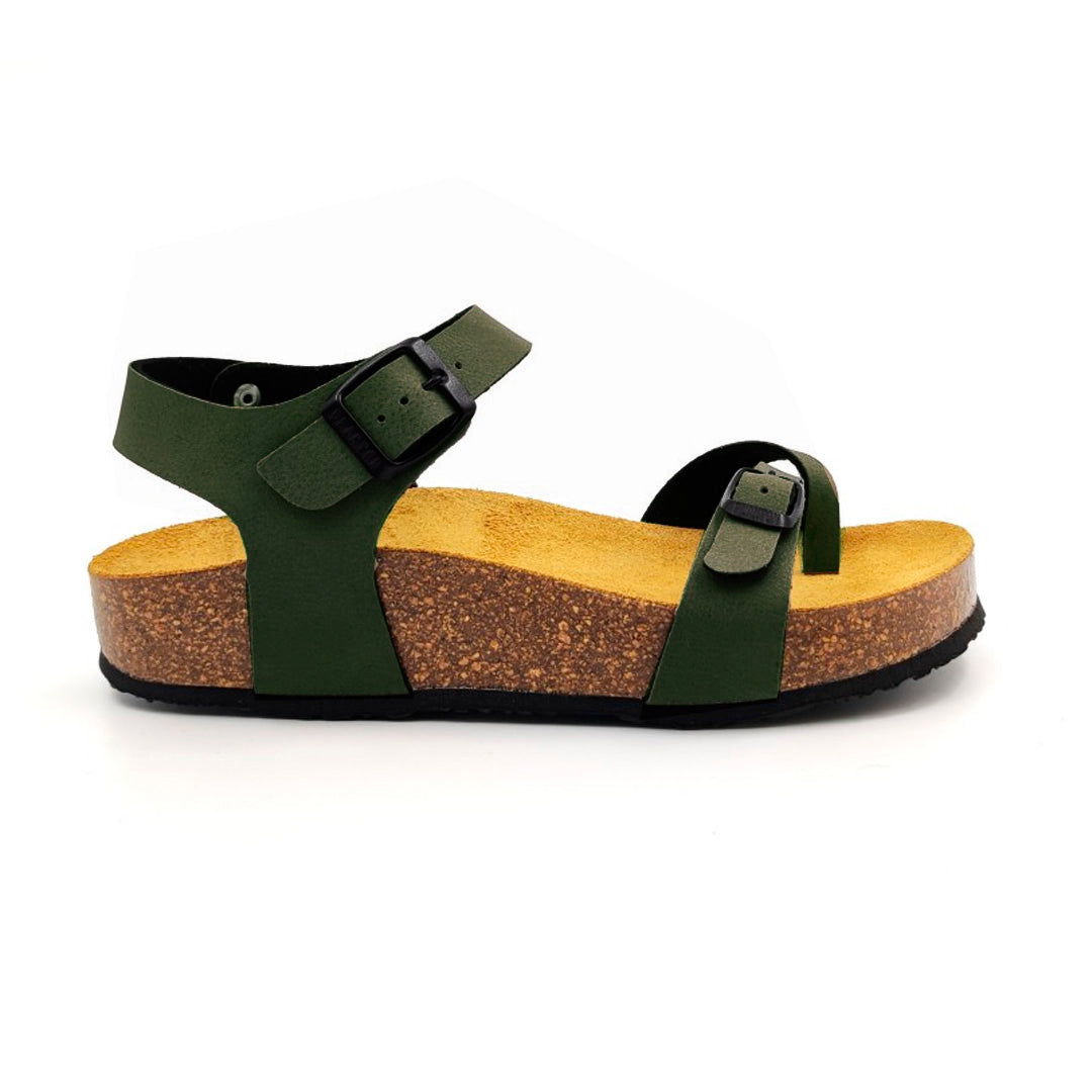 CP Zomba 341016 Plakton Latam