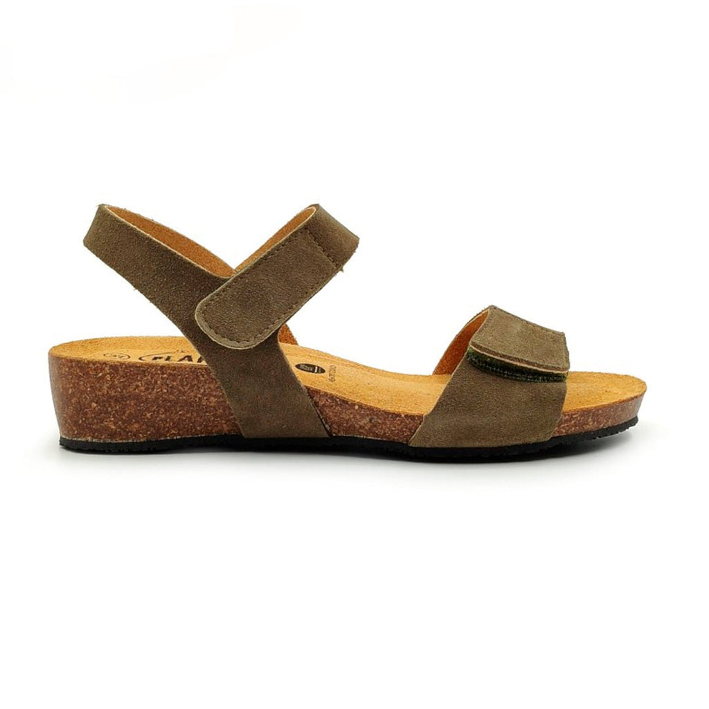 Norita 775893 Plakton Latam