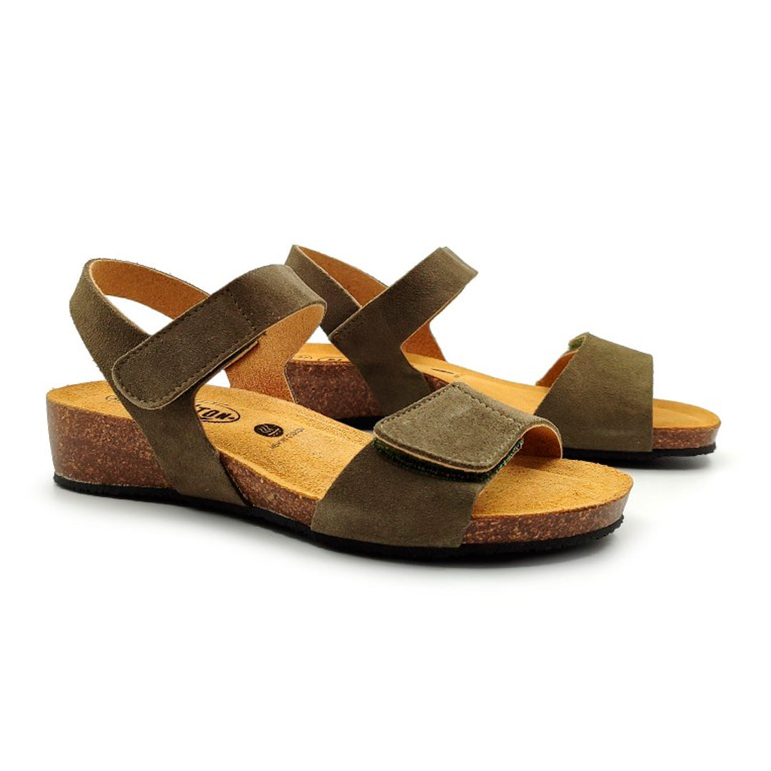 Norita 775893 Plakton Latam